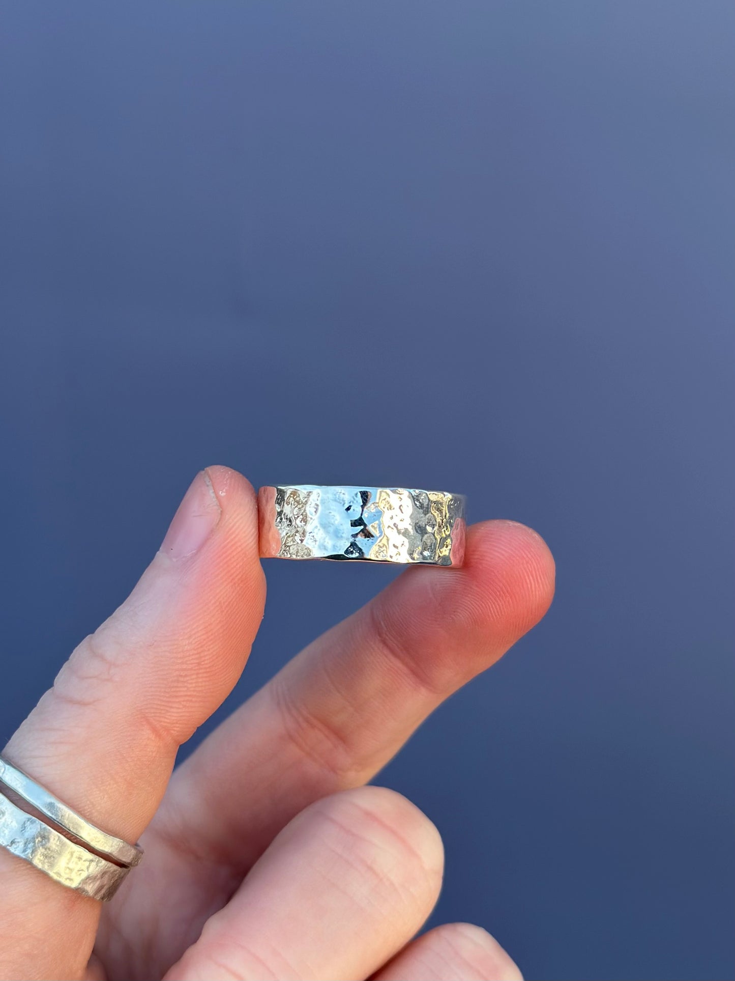 Commission for Julia and Dalton